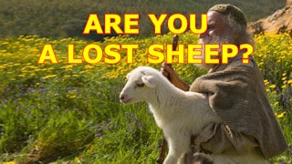 The Church Of Jesus Christ Are you a lost sheep? Examine yourself using this sermon