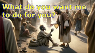 Sociedad Fraterna de Misericordia What do you want me to do for you?